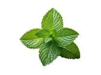 CHEEEES Tandkräm Fresh mint 60 g bild 3
